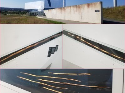 Site of the Schöningen Spears by Zoë Sheng