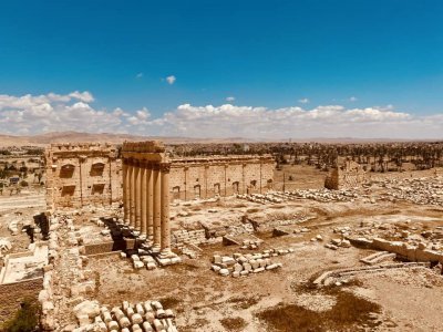 Palmyra by triath
