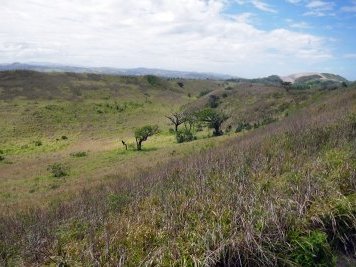 Sigatoka Sand Dunes by Ammon Watkins