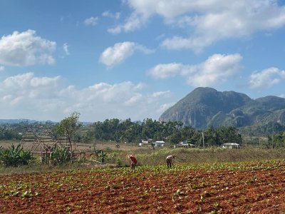Viñales Valley by triath