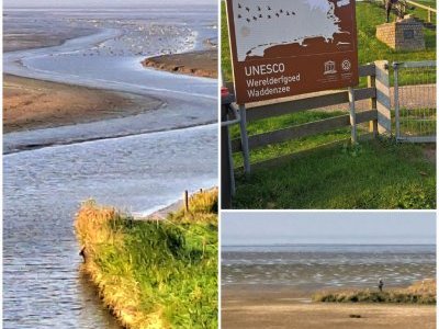 Wadden Sea by Bernard Joseph Esposo Guerrero