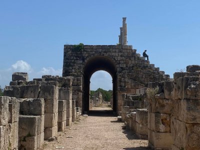 Tyre by triath