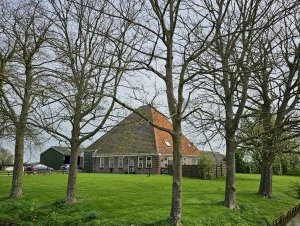 Beemster Polder by Tony H.