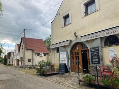 Tokaji Wine Region by Jakob Frenzel