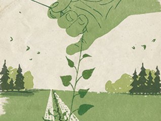 Green Belt by Kerstin Lange