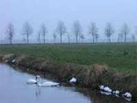 Beemster Polder by Joyce van Soest