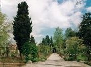 Botanical Garden, Padua by David Berlanda
