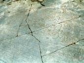 Rock Drawings in Valcamonica by David Berlanda
