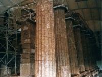 Temple of Apollo Epicurius at Bassae by David Berlanda