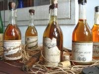 Tokaji Wine Region by Christer Sundberg