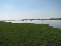 Donana National Park by David Berlanda