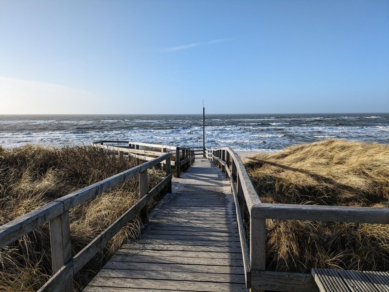 Beach at wadden sea