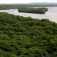 Dongzhai Port Nature Reserve