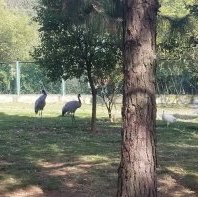 Poyang Nature Reserve