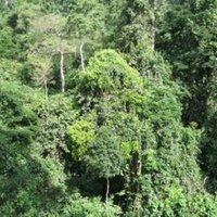 Kakum National Park