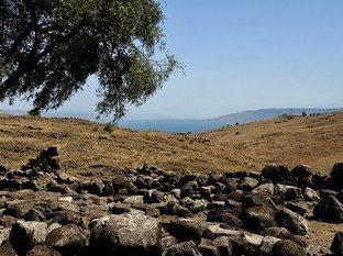 Sea of Galilee by Walter