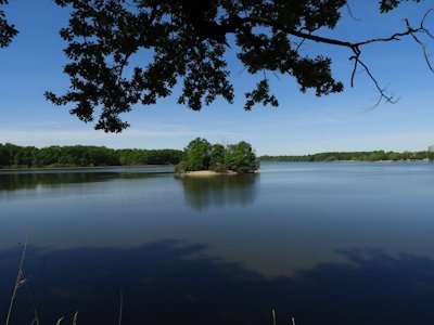 Fishpond Network in the Trebon Basin by Roman Bruehwiler