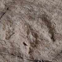 Sites of fossilized dinosaurs 