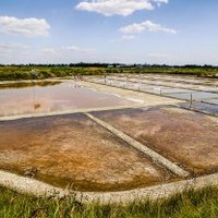 Marais salants de Guérande