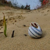 Deliblato Sands