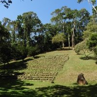 The Mayan-Olmecan Encounter