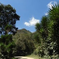Sierra De Las Minas Biosphere Reservation