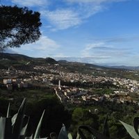 Nedroma et les Trara