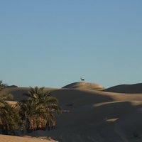 Oued souf