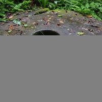 Yapease Quarry Sites