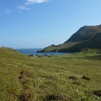 The Commander Islands (Comandorsky State Nature Re