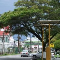 Georgetown's Plantation Structure and Historic Bui