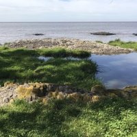 Insular area and bay of Colonia del Sacramento