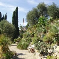 Hanbury botanical gardens