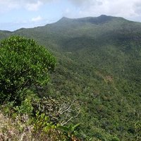 Black River Gorges National Park