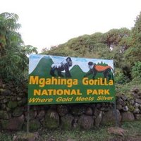 Mgahinga Gorilla National Park