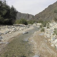 Dana Biosphere Reserve