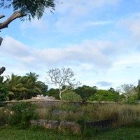 The Ancient Capitals of the Kingdom of Tonga