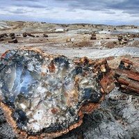 Petrified Forest National Park