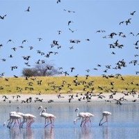 Makgadikgadi Pans Landscape
