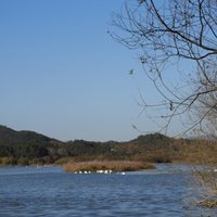 Upo Wetland