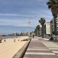 La Rambla  de la Cité de Montevideo