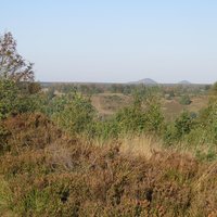 Hoge Kempen 