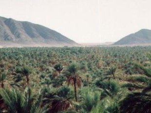 Photo in the Public Domain