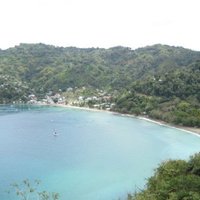 Tobago Main Ridge Forest Reserve