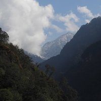 Jigme Dorji National Park (JDNP)