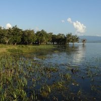 Indawgyi Lake Wildlife Sanctuary