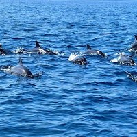 Les Îles Moucha et Maskali