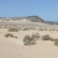Les paysages naturels de la région d'Obock