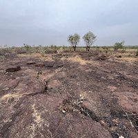 Wassu Stone Circles Quarry Site