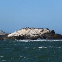 Benguela Current 